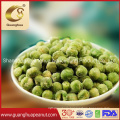 Export Quality Fried Green Peas Roasted Green Pea